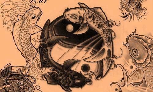 Portrete - 24-carp-koi.jpg